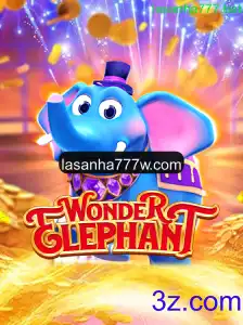 Descubra o Mundo de WonderElephant: Inovação e Diversão em um Só Jogo